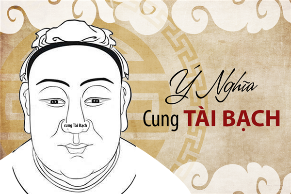 Ý Nghĩa Tử Vi Ở Cung Tài Bạch