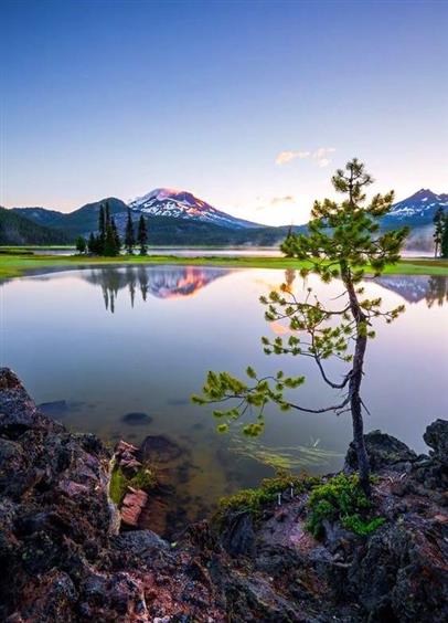 Tuyên bố chung về kết quả chuyến thăm chính thức Liên bang Nga của Tổng Bí thư Nguyễn Phú Trọng