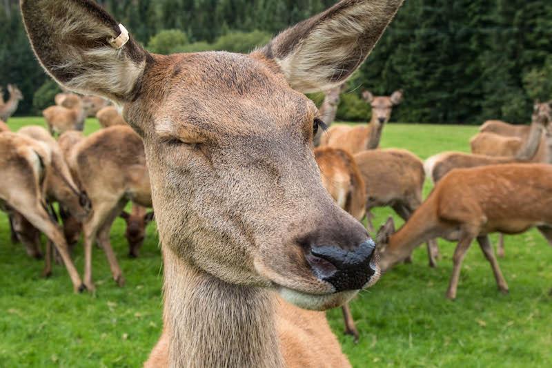 So that’s what heaven is like