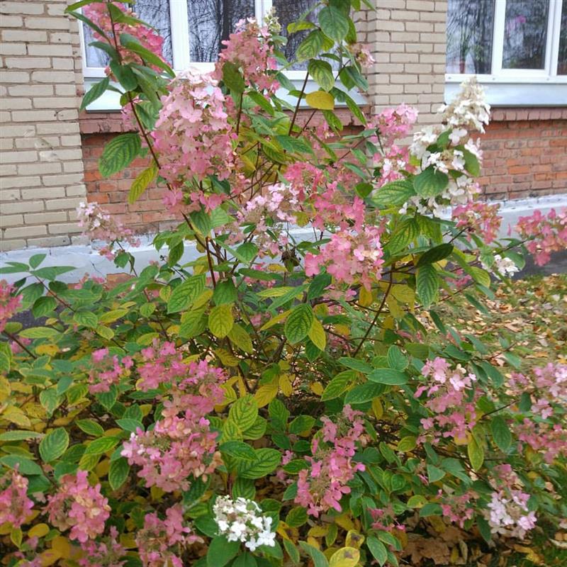 Did Jesus Really Exist?