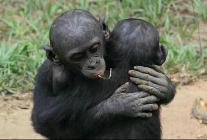 Morality Without Religion