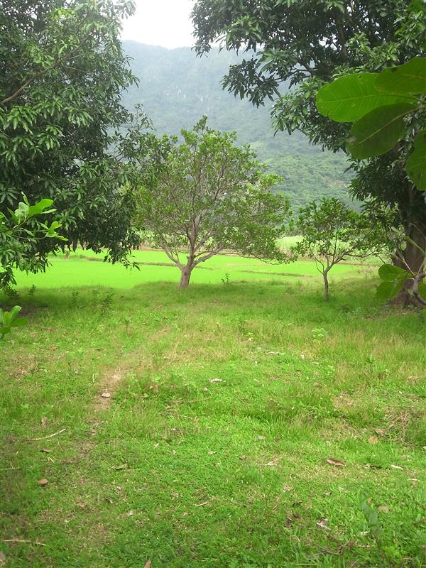 Just Wait For The Sun