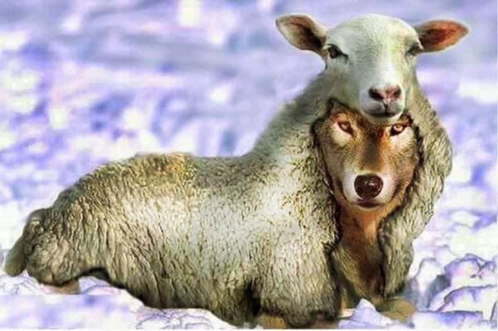 Trò lưu manh mất dạy ngang nhiên của bọn sản xuất sách giáo khoa.