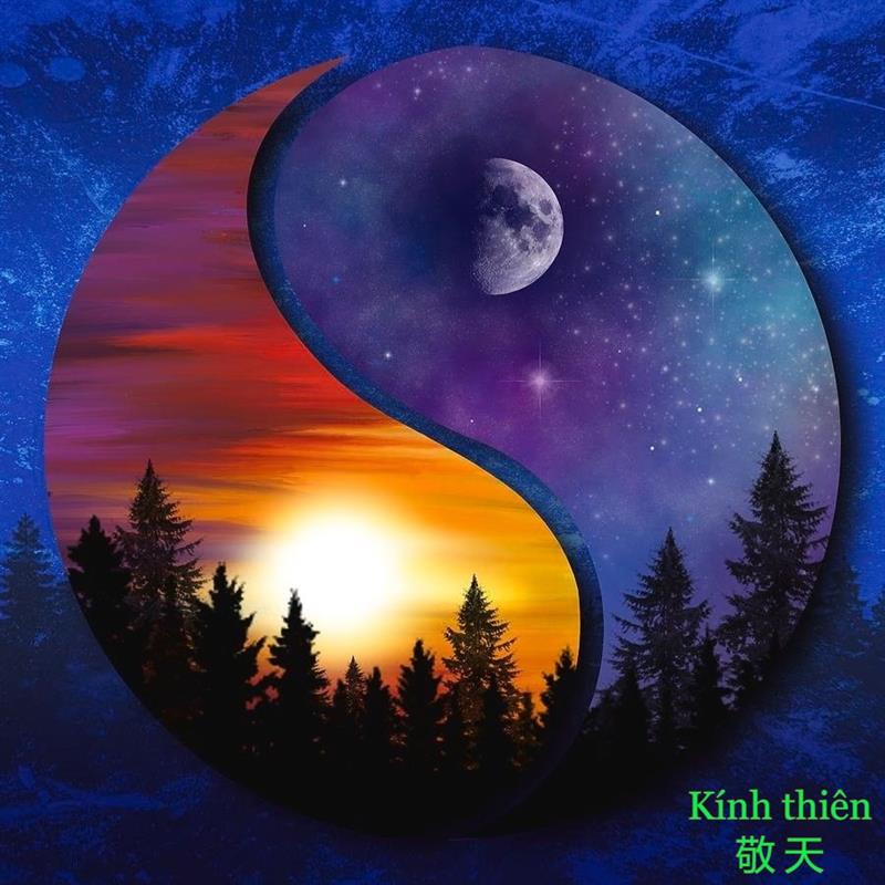 Phân biệt tài sản giữa Tài và Điền