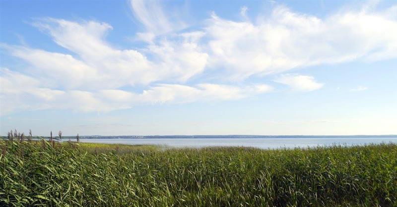 PHÁ QUÂN - THÀ LÀM NGỌC NÁT CÒN HƠN NGÓI LÀNH.