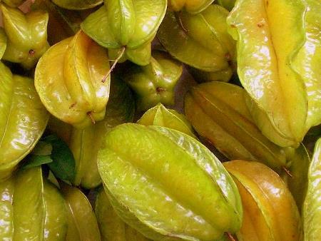 Miệng ăn Welfare kinh niên mà mở mồm chửi rủa Cộng Sản - Giáo Hoàng và Cộng Sản