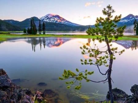 Tuyên bố chung về kết quả chuyến thăm chính thức Liên bang Nga của Tổng Bí thư Nguyễn Phú Trọng