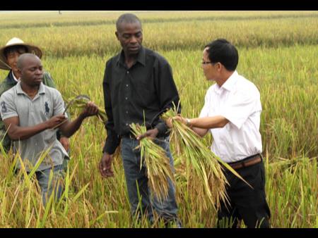 Họ lấy đi tài nguyên tự nhiên của chúng tôi... còn Việt Nam đã mang đến cho chúng tôi cuộc sống ấm no và hạnh phúc.
