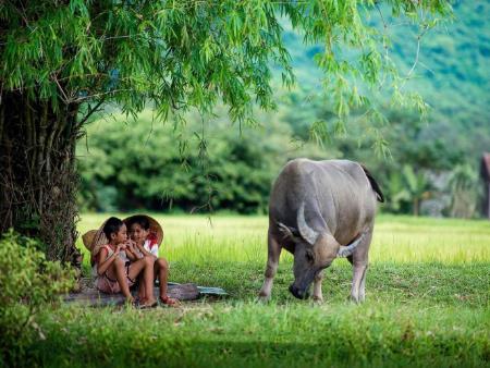 In Memory Tran Chung Ngoc