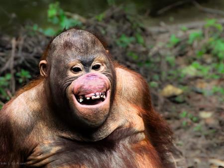 A young boy and a barber shop