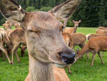 So that’s what heaven is like