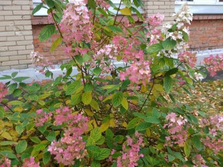 Did Jesus Really Exist?