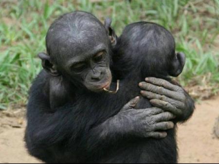 Morality Without Religion