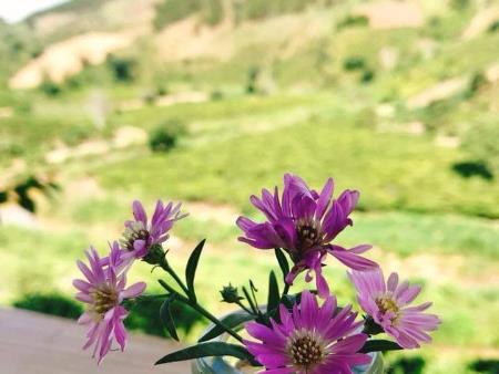 This Is A Daily Reminder