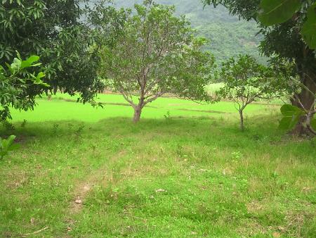 Just Wait For The Sun