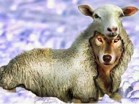 Trò lưu manh mất dạy ngang nhiên của bọn sản xuất sách giáo khoa.