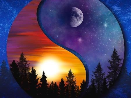 Phân biệt tài sản giữa Tài và Điền