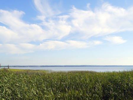 PHÁ QUÂN - THÀ LÀM NGỌC NÁT CÒN HƠN NGÓI LÀNH.