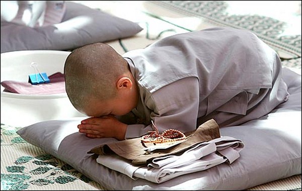 Chúc người mới quy y - Tâm Đức