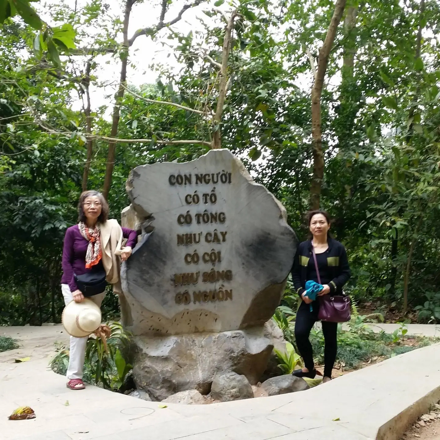 Tâm sự nơi mẹ ngủ  - Lý Thái Xuân