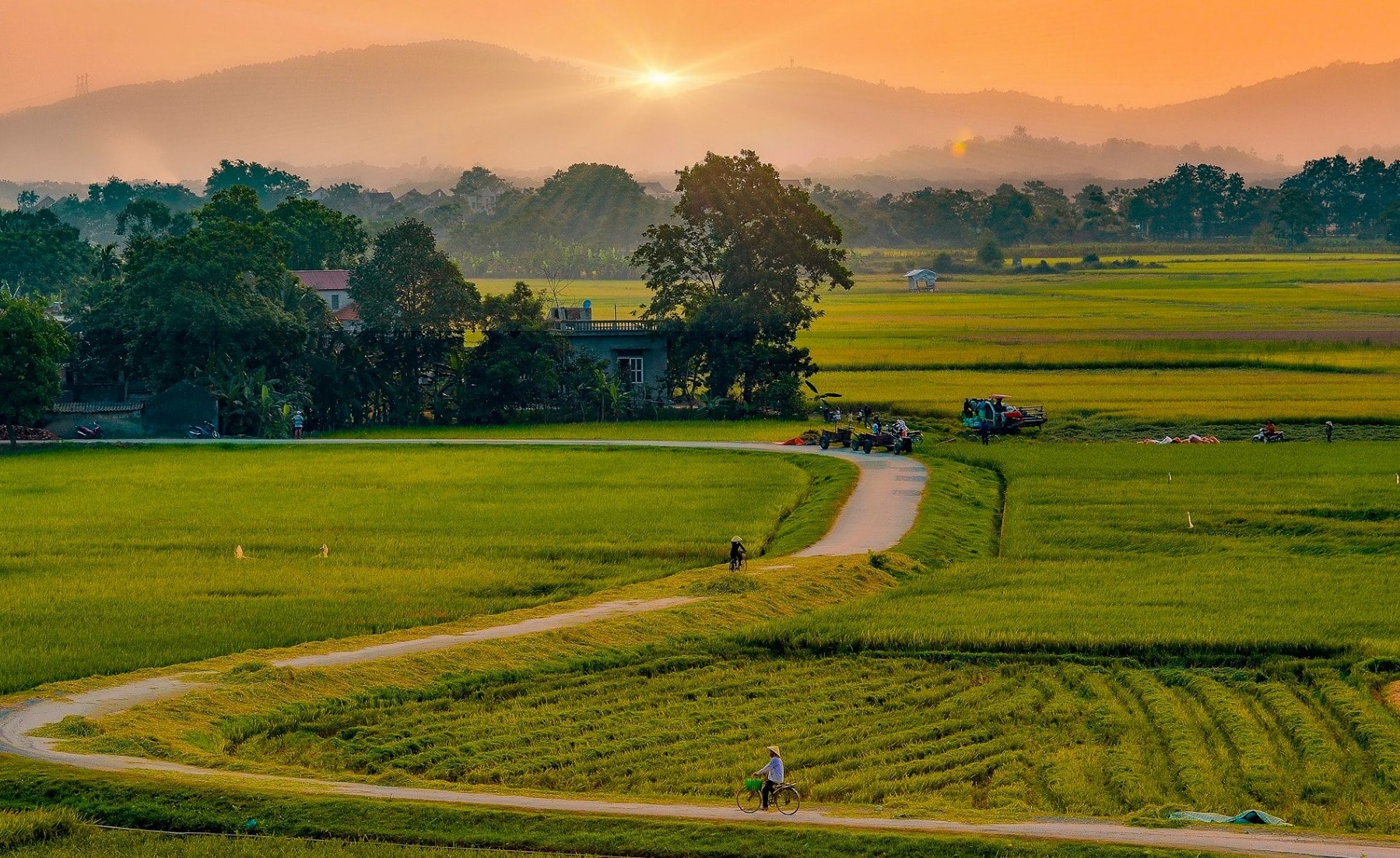Tụ Tán Nhờ Duyên, Ly Hợp Vốn Tình