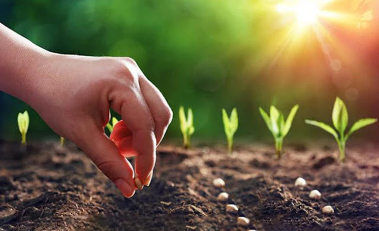 Điều gì ta gieo, đời sẽ gặt lại