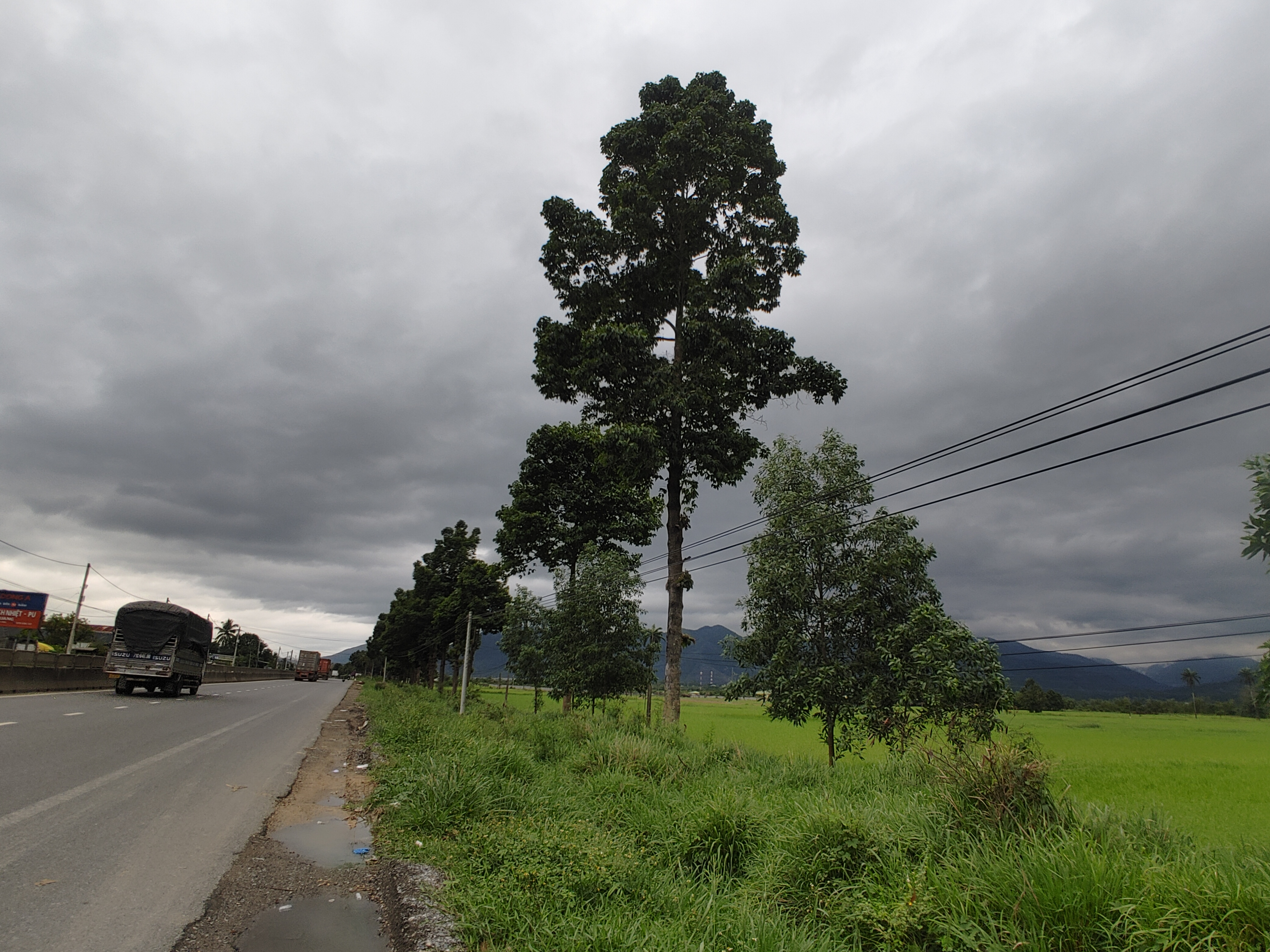 Tình thơ