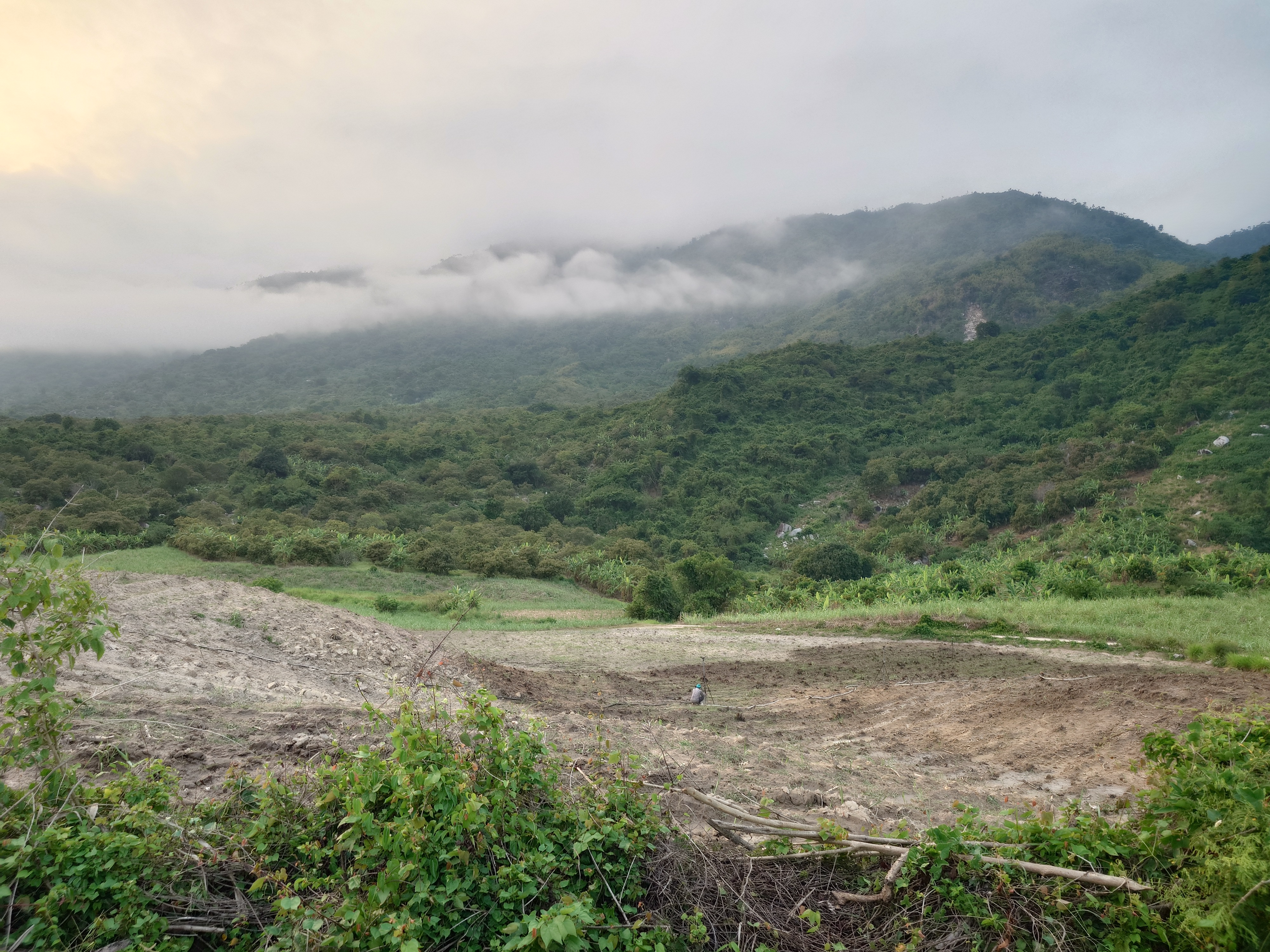 Cà phê sáng chủ nhật