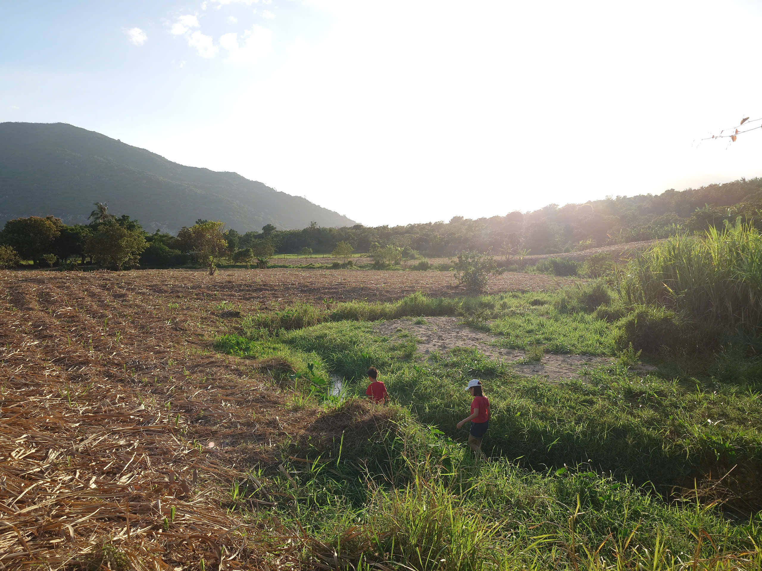 Nhật ký thời xưa